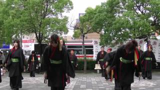 「御田咲楽」　犬山踊芸祭2011　犬山駅東広場