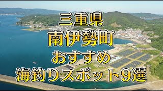 【完全保存版】三重県「南伊勢町」おすすめ海釣りスポット9選