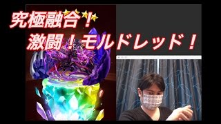 【エレメンタルストーリー（エレスト）】究極融合！激闘！モルドレッドを攻略しました！