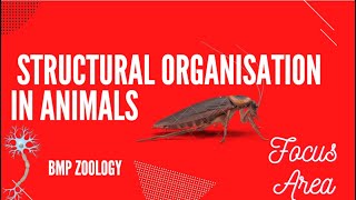 STRUCTURAL ORGANISATION IN ANIMALS | PLUS 1 | FOCUS AREA BASED | BMP ZOOLOGY