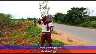 Telangana Ku Haritha Haram.. #manganoor village,  bijinapally mandal,  nagarkurnool district