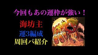 またこの運枠が強い！海坊主運3周回パ紹介！！