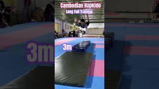 Hapkido Long Fall | Hapkido Championship #fighting #kungfu #hapkido #fightingsport #martialarts