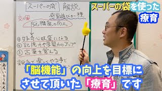 【解説編】スーパーの袋を使った療育♪第１回「〇〇」を使って出来る！オウチで始めるマイホーム療育の解説です^ - ^