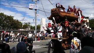 堺市だんじり祭り　深井地区だんじり　深井駅前連合パレード　深井澤町（２０１８年１０月７日）－２