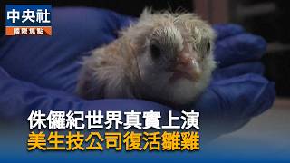 Jurassic World comes to life! US biotech company hatches chicken without egg | CNA Video News