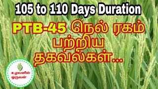 PTB-45 நெல் ரகம் பற்றிய தகவல்கள்..., #உழவனில்ஒருவன், PTB-45 Paddy Variety In Tamil, #PTB-45Paddy