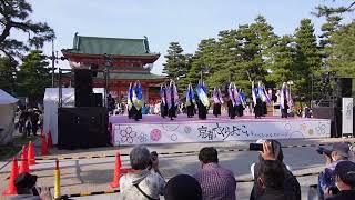 4月1日京都さくらよさこい　よさこい踊り屋『菊頭』神宮道 　一陽来復