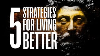5 Strategies for Living a Better Life With Stoicism