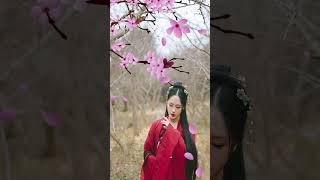 【中國風】超好聽的中國古典音樂 (古箏、琵琶、竹笛、二胡) 中國風純音樂的獨特韻味 - 古箏音樂 放鬆心情 安靜音樂 冥想音樂 - Hermosa Musica Tradicional China