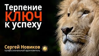 Терпение – ключ к успеху #СергейНовиков