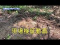 背こすりの木に 巨大ヒグマ 現れる 現場検証動画　brown bear trail camera　hunting camera　北海道ヒグマチャンネル　ヒグマ　羆　トレイルカメラ