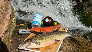 Trout CATCH and COOK Micro Creek (LOADED)