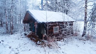 Livе Alone in the Forest, Off Grid cabin, Found an abandoned tiny house in the woods