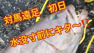 石鯛　2泊3日対馬遠足　初日　水没寸前の磯でとんチャン食べながら　アラ釣り❗️