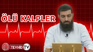 Ölü Kalpler ᴴᴰ Günahların Kalbe Zararı |  (Halis Hoca)