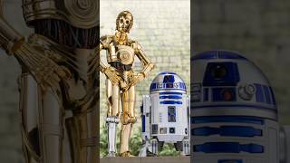 S.H.Figuarts C-3PO and R2D2 -Classic Ver.- (STAR WARS: A New Hope)