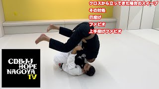 クロスから立ってきた場合のスイープ その対処 巴投げ 上手投げファビオ【柔術】【BJJ】