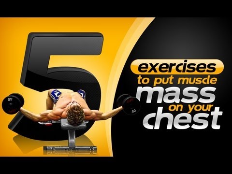 5 Exercises To Put Muscle Mass On Your Chest! 5 Exercises To Put Muscle Mass On Your Chest!