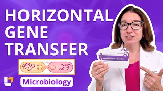 Horizontal Gene Transfer: Microbio Genetics Pre-Nursing / Med & Health Field Careers | @LevelUpRN