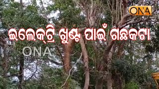 ଇଲେକ୍‌ଟ୍ରି ଖୁଣ୍ଟ ପାଇଁ ଗଛକଟା