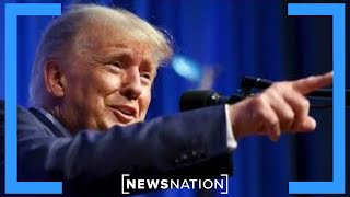 Trump’s lead in polls increases after indictment | NewsNation Now
