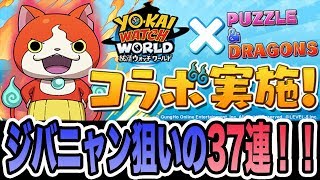 実況【パズドラ】妖怪ウォッチコラボ！ジバニャンだけでいいから欲しい！！