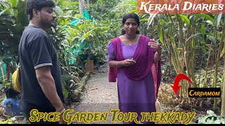 Spice Garden Tour In Thekkady | Kerala Diaries