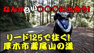 【リード125】～神奈川県厚木市鳶尾山～リード125で住宅街横の山の中を往く！