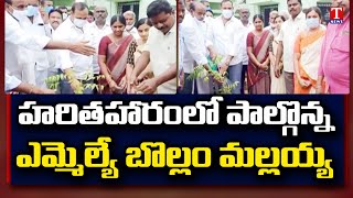 MLA Bollam Mallaiah Yadav Participates Haritha Haram In Kodad | T News