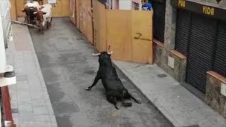 Bull Breaks Legs At Spanish Festival