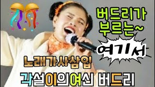 🕊버드리--[여기서] 요즘 대단한 인기를 얻고 있는 서지오의 신곡을 버드리가🎶 🎧(이어폰)으로 감상하시면 더욱 좋아요!!