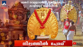 Vellayani temple festival  വെള്ളായണി ദേവി ക്ഷേത്രം കാളിയൂട്ട് മഹോത്സവം | നിലത്തിൽ പോര്  | mfour news