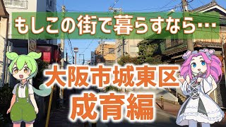 【地理バラエティ】もしこの街で暮らすなら…大阪市城東区成育編