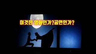 그림자 공연 \