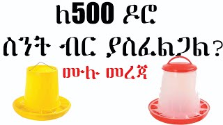 አሁን ባለው ሁኔታ ለ500 ዶሮ ስንት ብር ያስፈልጋል?