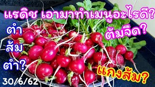 แรดิช ทำเมนูได้หลากหลาย คุณแม่ท้องพาทำเมนูแรดิชกินกันจร้า #Radish...30 มิถุนายน ค.ศ. 2019