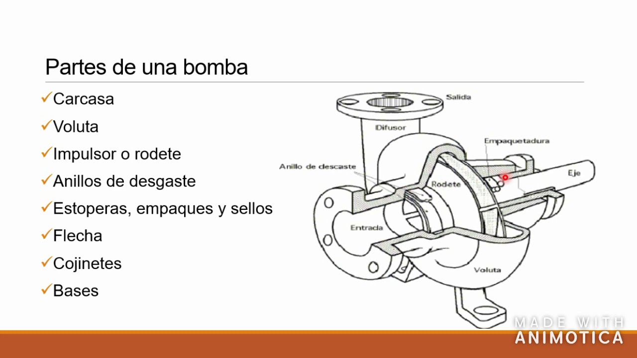 Bomba Centrífuga - YouTube