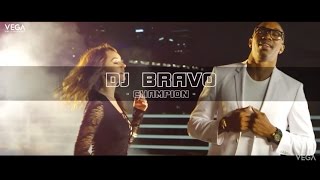 Dwayne Bravo's DJ Bravo Champion Song Teaser