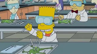 Memorable frog anatomy lesson with Bart