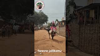 #trendingshorts #bull #teamjallikattu #trend #jallikattubull #love #janasenaparty