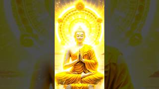 Quang Minh Phật #phatphap #phatgiao #loiphatday
