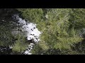 aerial view from munro lake trail lookout mar 15 2019