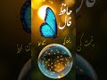 فال به نیت شما🦋پیام حافظ فال_حافظ پیام_حافظ فال faalehafez فال_همین_لحظه حافظ_خوانی تک_نیت حافظ