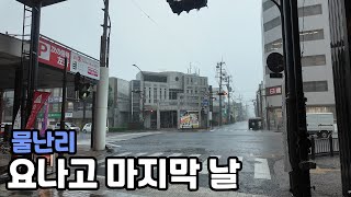 퇴사하고 간 일본여행 (일본 요나고 3편)