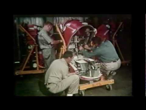 That Time The Air Force Used Bears As Ejection Seat Dummies