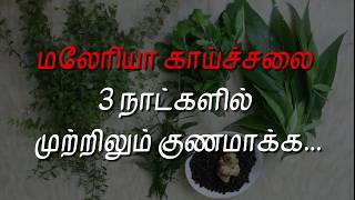 மலேரியா காய்ச்சலை 3 நாட்களில் முற்றிலும் குணமாக்க | மழைக்கால நோய்கள் | Dr.S.Revathi's Vlog