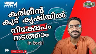 കൊച്ചിയിൽ കരിമീൻ കൂടുകൃഷിയിൽ ഇൻവെസ്റ്റ് ചെയ്യാം