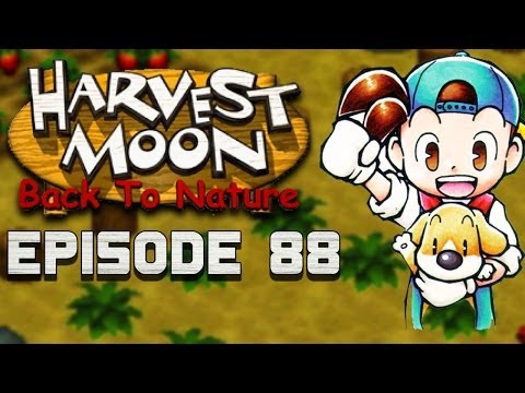 Flower Garden | Harvest Moon | Back to Nature EP.88 Flower Garden | Harvest Moon | Back to Nature EP.88