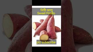 মিষ্টি আলু। রাঙা আলু। Sweet Potato